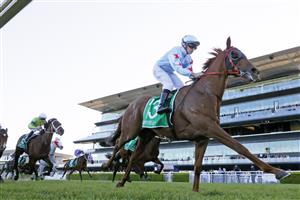 SYDNEY, AUSTRALIA - JUNE 11: Glyn Schofield on Coal Crusher wins race 9 the Grainshaker Vodka Handicap during Sydney Racing at Royal Randwick Racecourse on June 11, 2022 in Sydney, Australia. (Photo by Mark Evans/Getty Images)