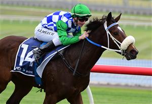 MELBOURNE, AUSTRALIA - JUNE 11: Linda Meech riding She Dances winning Race 1, the Ive Print Handicap, during Melbourne Racing at Sandown Hillside on June 11, 2022 in Melbourne, Australia. (Photo by Vince Caligiuri/Getty Images)