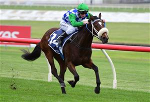MELBOURNE, AUSTRALIA - JUNE 11: Linda Meech riding She Dances winning Race 1, the Ive Print Handicap, during Melbourne Racing at Sandown Hillside on June 11, 2022 in Melbourne, Australia. (Photo by Vince Caligiuri/Getty Images)