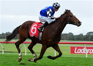 MELBOURNE, AUSTRALIA - JUNE 11: Matthew Cartwright riding Mankayan winning Race 9, the Ladbrokes Punter Assist Handicap, during Melbourne Racing at Sandown Hillside on June 11, 2022 in Melbourne, Australia. (Photo by Vince Caligiuri/Getty Images)