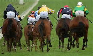 MELBOURNE, AUSTRALIA - JUNE 11: General view of horses and riders at the top of the home straight in Race 4, the Thoroughbred Club Handicap, during Melbourne Racing at Sandown Hillside on June 11, 2022 in Melbourne, Australia. (Photo by Vince Caligiuri/Getty Images)