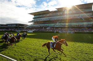 Royal Ascot Tips - The Aussies