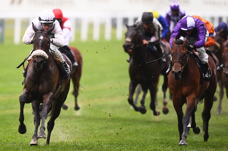 sandrine ascot