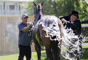 ASCOT, ENGLAND - JUNE 14: A horse is cooled down inside the parade ring during Royal Ascot 2022 at Ascot Racecourse on June 14, 2022 in Ascot, England. (Photo by John Phillips/Getty Images for Ascot Racecourse)