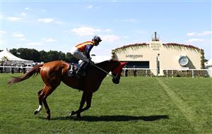 ASCOT, ENGLAND - JUNE 14: James McDonald rides Nature Strip celebrates to the starting gates in the The King's Stand Stakes during Royal Ascot 2022 at Ascot Racecourse on June 14, 2022 in Ascot, England. (Photo by Ryan Pierse/Getty Images)