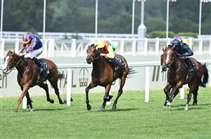 Prince Of Wales's Stakes Live Stream - Watch this Group One live from Royal Ascot