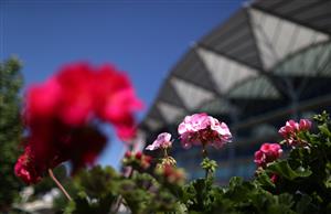 ASCOT, ENGLAND - JUNE 14: Flowers are seen on Day One of Royal Ascot 2022 at Ascot Racecourse on June 14, 2022 in Ascot, England. (Photo by Ryan Pierse/Getty Images)