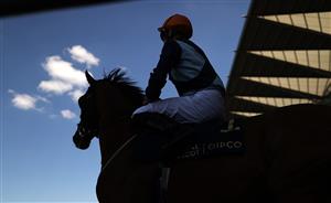 ASCOT, ENGLAND - JUNE 14: A horse runs onto the track during day one during Royal Ascot 2022 at Ascot Racecourse on June 14, 2022 in Ascot, England. (Photo by Ryan Pierse/Getty Images)