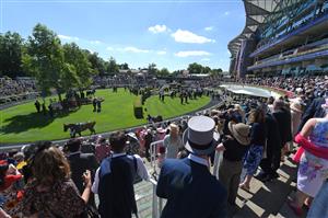 ASCOT, ENGLAND - JUNE 14: A general view of the parade ring during Royal Ascot 2022 at Ascot Racecourse on June 14, 2022 in Ascot, England. (Photo by Eamonn M. McCormack/Getty Images for Ascot Racecourse)