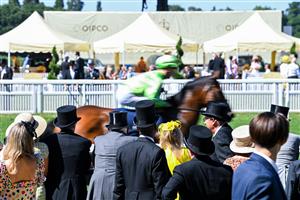 ASCOT, ENGLAND - JUNE 14: A horse races past during Royal Ascot 2022 at Ascot Racecourse on June 14, 2022 in Ascot, England. (Photo by Eamonn M. McCormack/Getty Images for Ascot Racecourse)