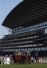 ASCOT, ENGLAND - JUNE 14: Horses race during the Copper Horse Stakes during Royal Ascot 2022 at Ascot Racecourse on June 14, 2022 in Ascot, England. (Photo by Ryan Pierse/Getty Images)