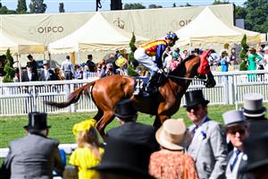ASCOT, ENGLAND - JUNE 14: A horse races past during Royal Ascot 2022 at Ascot Racecourse on June 14, 2022 in Ascot, England. (Photo by Eamonn M. McCormack/Getty Images for Ascot Racecourse)