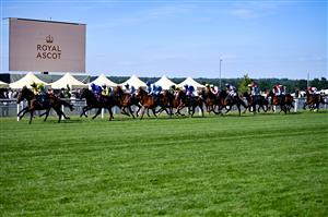 ASCOT, ENGLAND - JUNE 14: Horses race during Royal Ascot 2022 at Ascot Racecourse on June 14, 2022 in Ascot, England. (Photo by Eamonn M. McCormack/Getty Images for Ascot Racecourse)