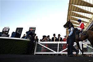 ascot