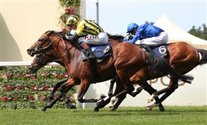 ASCOT, ENGLAND - JUNE 15: Eldar Eldarov ridden by David Egan (yellow) beats Zechariah ridden by Colin Keane to win The Queen