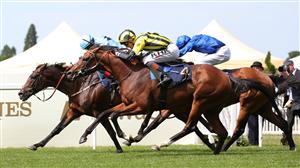 ASCOT, ENGLAND - JUNE 15: Eldar Eldarov ridden by David Egan (yellow) beats Zechariah ridden by Colin Keane to win The Queen