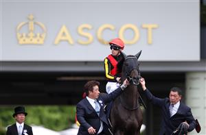 ASCOT, ENGLAND - JUNE 15: Shahryar ridden by Christian Demuro walks out for The Prince Of Wales