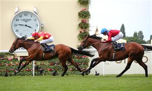 ASCOT, ENGLAND - JUNE 15: State Of Rest ridden by Shane Crosse beats Bay Bridge ridden by Ryan Moore to win The Prince Of Wales Stakes during Day Two of Royal Ascot 2022 at Ascot Racecourse on June 15, 2022 in Ascot, England. (Photo by Alex Livesey/Getty Images)