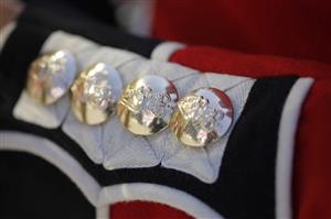 ASCOT, ENGLAND - JUNE 15: A detail of The Irish Guard