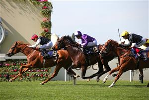 ASCOT, ENGLAND - JUNE 16: Kyprios ridden by Ryan Moore beats Mojo Star (6) ridden by Rossa Ryan and Stradivarius (3) ridden by Frankie Dettori on the way to winning The Gold Cup during day three of Royal Ascot 2022 at Ascot Racecourse on June 16, 2022 in Ascot, England. (Photo by Alex Livesey/Getty Images)