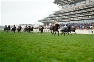 Commonwealth Cup Live Stream - Watch this Group One live from Royal Ascot