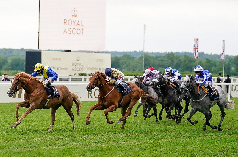 diamond jubilee stakes