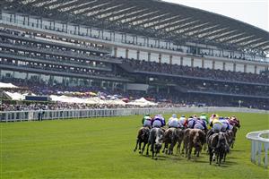 ASCOT, ENGLAND - JUNE 17: A general view as runners turn into the straight during The Duke Of Edinburgh Stakes during Royal Ascot 2022 at Ascot Racecourse on June 17, 2022 in Ascot, England. (Photo by Alan Crowhurst/Getty Images)