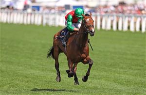 ASCOT, ENGLAND - JUNE 17: Candleford ridden by Tom Marquand wins The Duke Of Edinburgh Stakes on day four of Royal Ascot 2022 at Ascot Racecourse on June 17, 2022 in Ascot, England. (Photo by Alex Livesey/Getty Images)