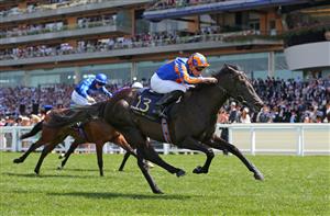 ASCOT, ENGLAND - JUNE 17: Meditate ridden by Ryan Moore wins The Albany Stakes on day four of Royal Ascot 2022 at Ascot Racecourse on June 17, 2022 in Ascot, England. (Photo by Alex Livesey/Getty Images)