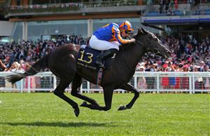 ASCOT, ENGLAND - JUNE 17: Meditate ridden by Ryan Moore wins The Albany Stakes on day four of Royal Ascot 2022 at Ascot Racecourse on June 17, 2022 in Ascot, England. (Photo by Alex Livesey/Getty Images)