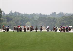 ASCOT, ENGLAND - JUNE 18: Horses race during The Platinum Jubilee Stakes during Royal Ascot 2022 at Ascot Racecourse on June 18, 2022 in Ascot, England. (Photo by Ryan Pierse/Getty Images)