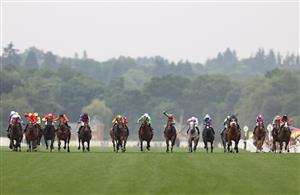 ASCOT, ENGLAND - JUNE 18: Horses race during The Platinum Jubilee Stakes during Royal Ascot 2022 at Ascot Racecourse on June 18, 2022 in Ascot, England. (Photo by Ryan Pierse/Getty Images)