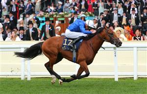 ASCOT, ENGLAND - JUNE 18: Naval Crown ridden by James Doyle wins The Platinum Jubilee Stakes on day five of Royal Ascot 2022 at Ascot Racecourse on June 18, 2022 in Ascot, England. (Photo by Alex Livesey/Getty Images)