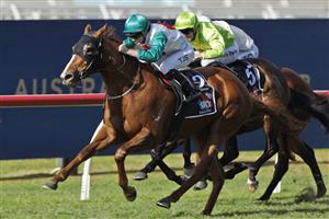 SYDNEY, AUSTRALIA - JUNE 18: Tyler Schiller on Marnix wins race 3 the Midway Handicap during Sydney Racing at Rosehill Gardens on June 18, 2022 in Sydney, Australia. (Photo by Mark Evans/Getty Images)