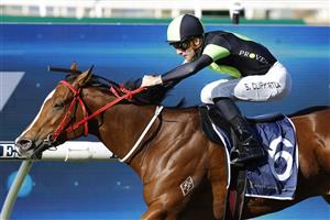 SYDNEY, AUSTRALIA - JUNE 18: Sam Clipperton on Rubinocchi wins race 6 the NSW Bookmakers Co-op Handicap during Sydney Racing at Rosehill Gardens on June 18, 2022 in Sydney, Australia. (Photo by Mark Evans/Getty Images)