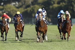 SYDNEY, AUSTRALIA - JUNE 18: William Pike on Skyman wins race 7 the Drinkwise W.J. McKell Cup during Sydney Racing at Rosehill Gardens on June 18, 2022 in Sydney, Australia. (Photo by Mark Evans/Getty Images)