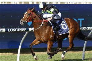 SYDNEY, AUSTRALIA - JUNE 18: Sam Clipperton on Rubinocchi wins race 6 the NSW Bookmakers Co-op Handicap during Sydney Racing at Rosehill Gardens on June 18, 2022 in Sydney, Australia. (Photo by Mark Evans/Getty Images)