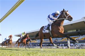 SYDNEY, AUSTRALIA - JUNE 18: William Pike on Skyman wins race 7 the Drinkwise W.J. McKell Cup during Sydney Racing at Rosehill Gardens on June 18, 2022 in Sydney, Australia. (Photo by Mark Evans/Getty Images)
