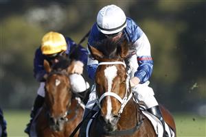 SYDNEY, AUSTRALIA - JUNE 18: William Pike on Skyman wins race 7 the Drinkwise W.J. McKell Cup during Sydney Racing at Rosehill Gardens on June 18, 2022 in Sydney, Australia. (Photo by Mark Evans/Getty Images)