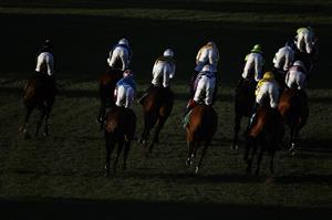 SYDNEY, AUSTRALIA - JUNE 18: Horses ease down after the running of race 9 the Robert Patricks Handicap during Sydney Racing at Rosehill Gardens on June 18, 2022 in Sydney, Australia. (Photo by Mark Evans/Getty Images)
