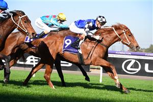 MELBOURNE, AUSTRALIA - JUNE 18: Blaike McDougall riding Grande Rumore winning Race 4, the Bruce Gadsden Handicap, during Melbourne Racing at Flemington Racecourse on June 18, 2022 in Melbourne, Australia. (Photo by Vince Caligiuri/Getty Images)