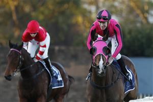 SYDNEY, AUSTRALIA - JUNE 18: Rory Hutchings on Titanium Power returns to scale after winning race 10 the Barry Cook Handicap during Sydney Racing at Rosehill Gardens on June 18, 2022 in Sydney, Australia. (Photo by Mark Evans/Getty Images)