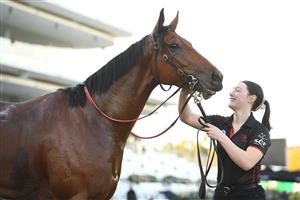 MELBOURNE, AUSTRALIA - JUNE 18: Passive Aggressive after winning Race 5, the A.r. Creswick Stakes, during Melbourne Racing at Flemington Racecourse on June 18, 2022 in Melbourne, Australia. (Photo by Vince Caligiuri/Getty Images)