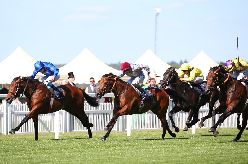 When is the 2023 St James's Palace Stakes?