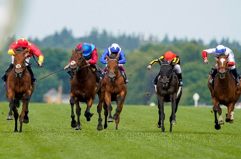 When is the 2023 Prince Of Wales's Stakes?