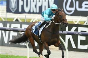 Tatts Tiara Barrier Draw & Final Field