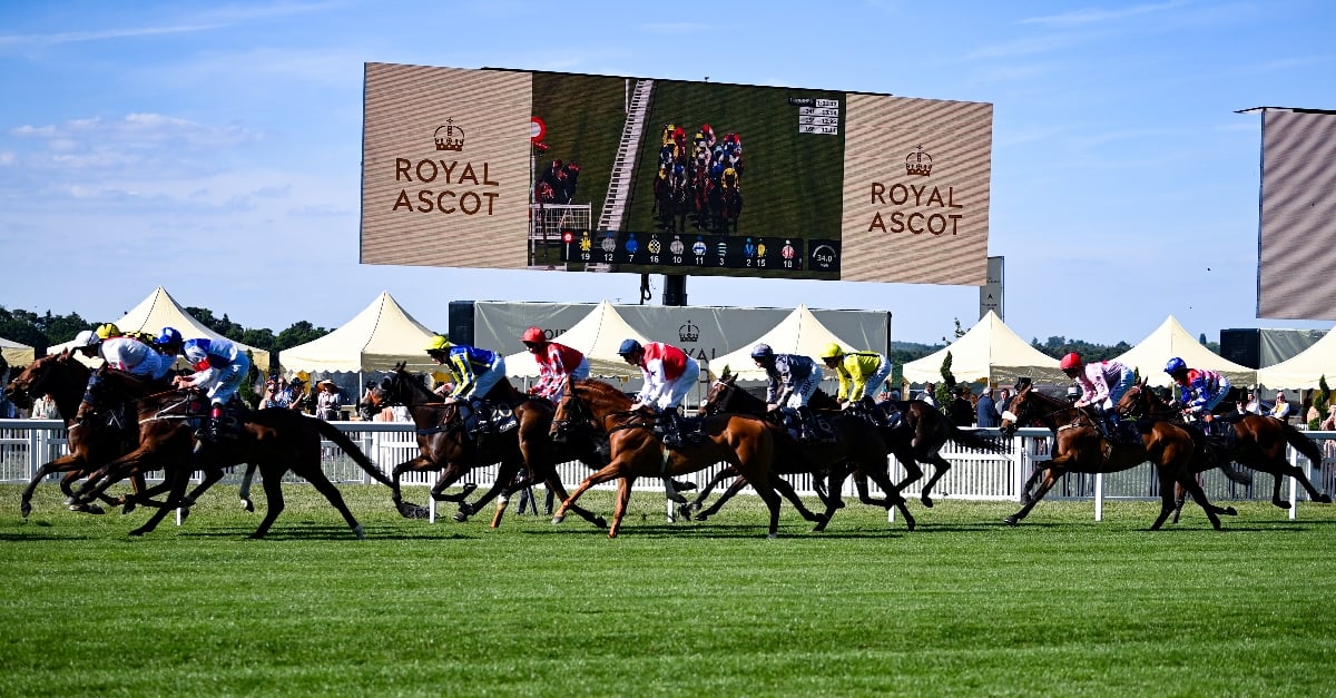 royal ascot racing tours 2023