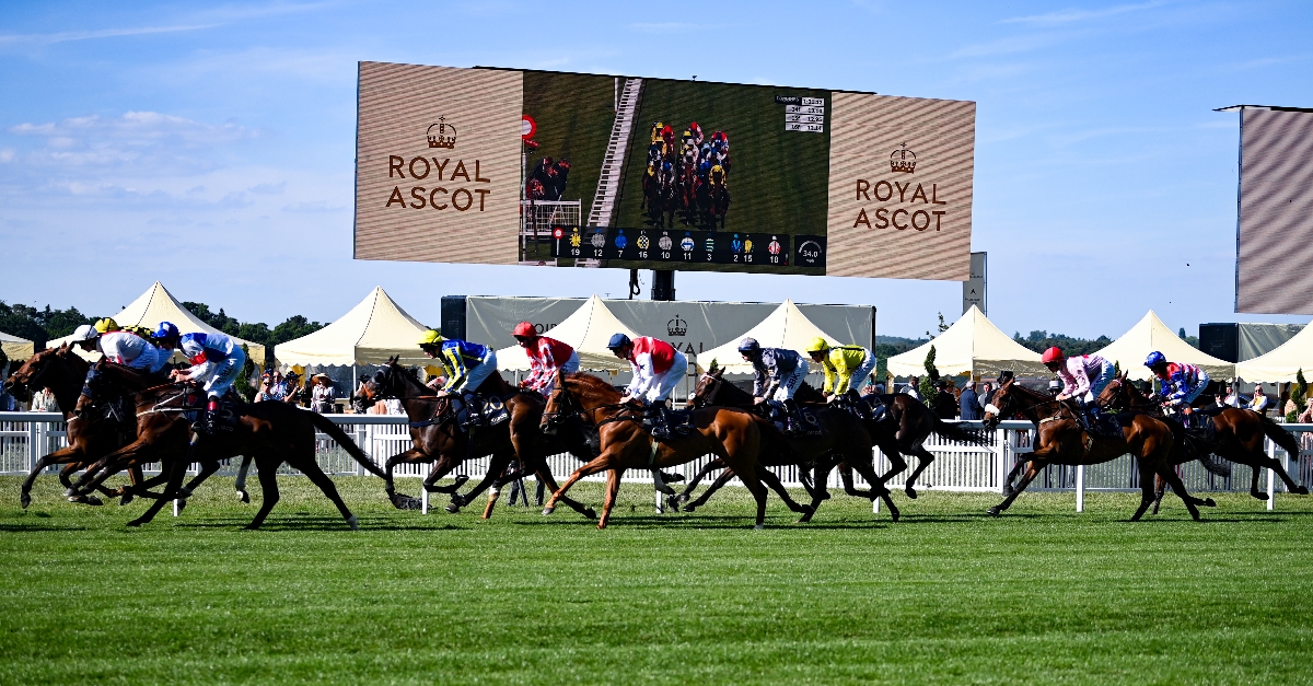2023 Royal Ascot News Dates and vital information.