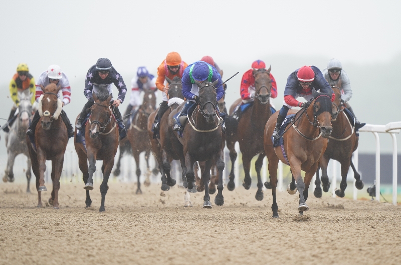 Northumberland plate betting trends raex yr 1326 betting
