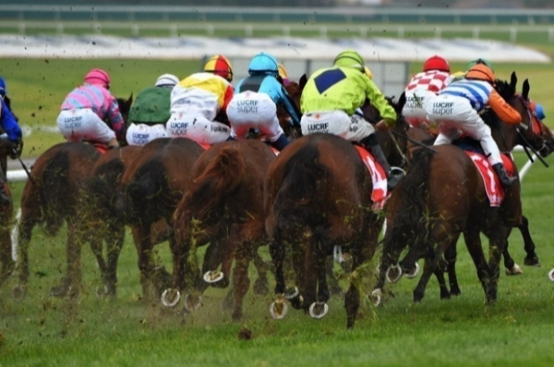 pinjarra tips for 20.05.2020